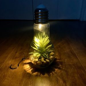 SOLD - Homedeco Light up Terrarium